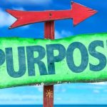 purpose-800x500