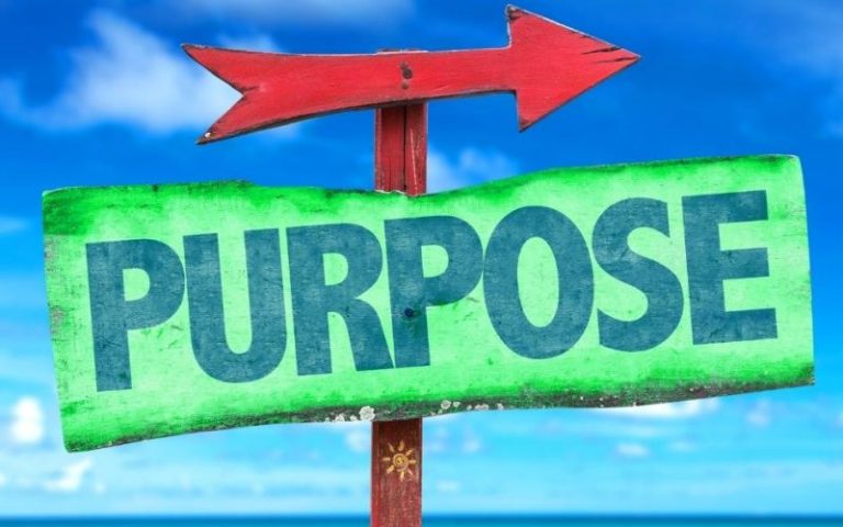 purpose-800x500