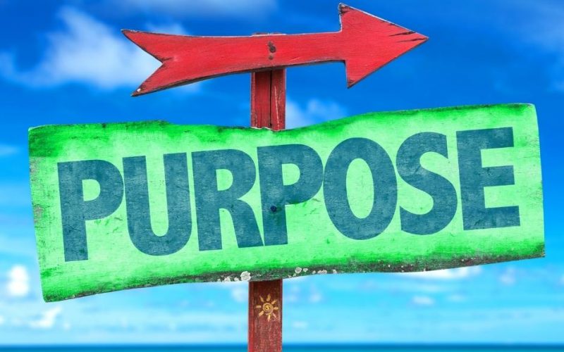 purpose-800x500